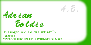 adrian boldis business card